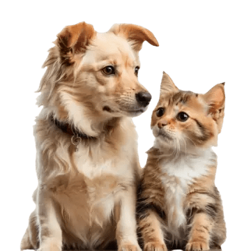 Contact PawCare support